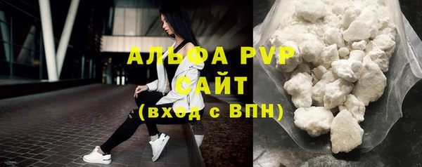 амф Тайга
