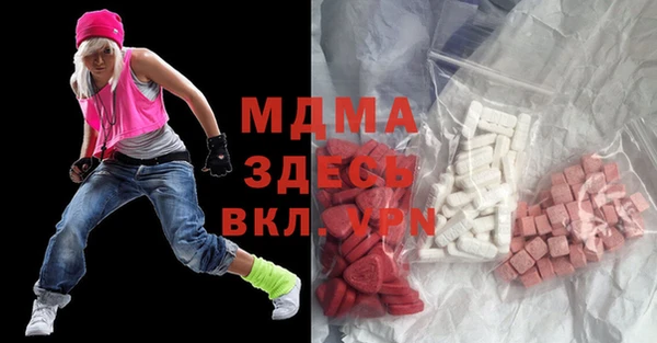 амф Тайга