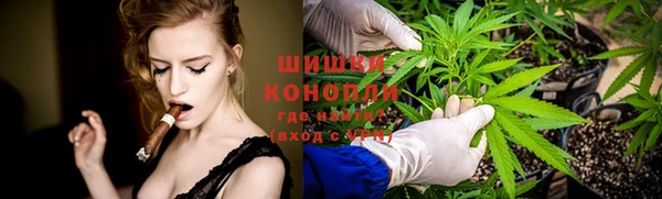 тгк Богородск