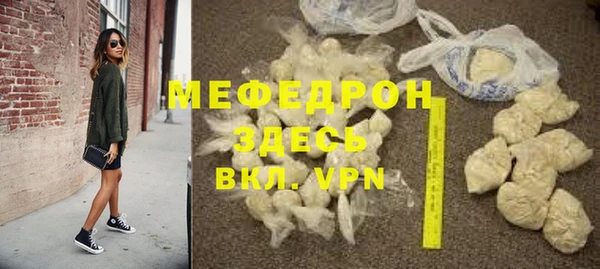 амф Тайга