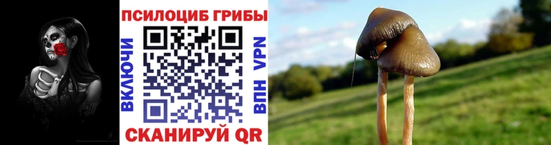 Псилоцибиновые грибы прущие грибы  Чудово 
